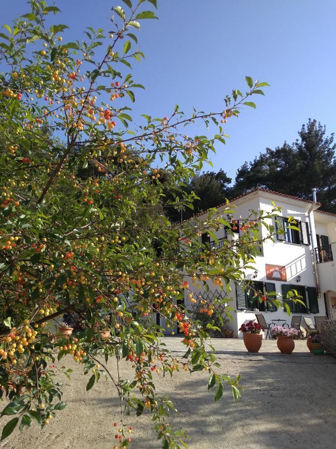 Eri Rooms To Let Raches  Bagian luar foto